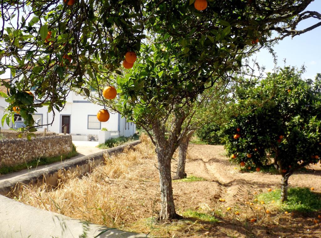 Casas Do Pomar Villa Lagos Oda fotoğraf