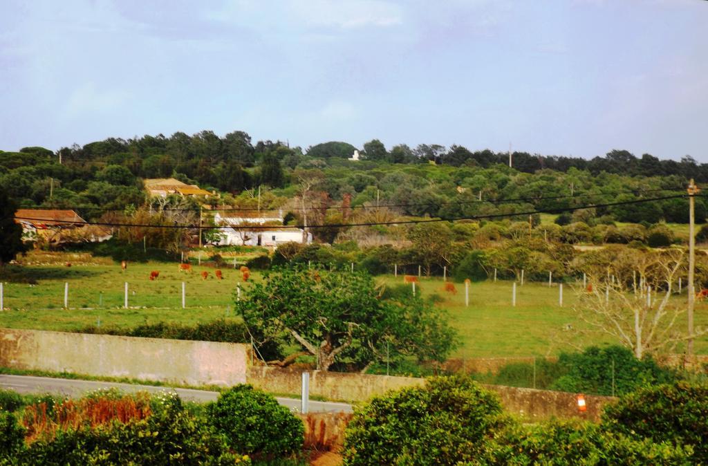 Casas Do Pomar Villa Lagos Oda fotoğraf